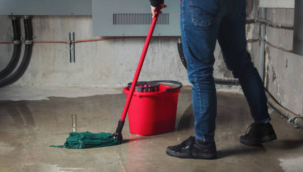 Best Water damage restoration specialists  in Inverness Highlands North, FL