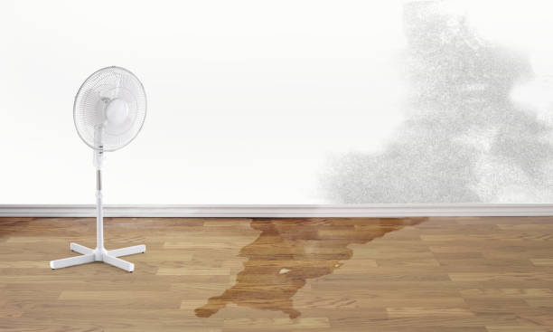  Inverness Highlands North, FL Water damage restoration Pros