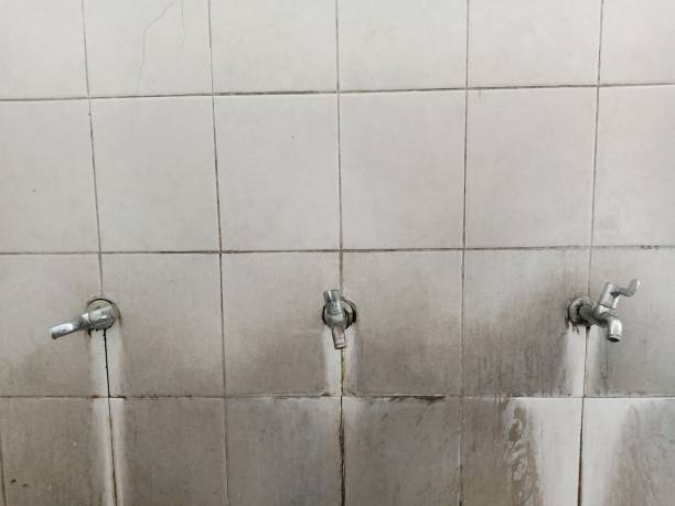 Best Fire Damage Restoration  in Inverness Highlands North, FL