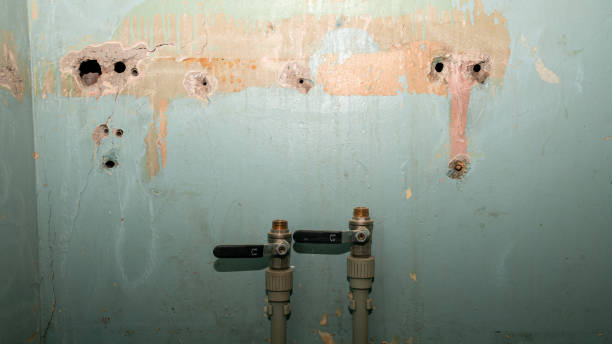 Best Flood restoration services  in Inverness Highlands North, FL