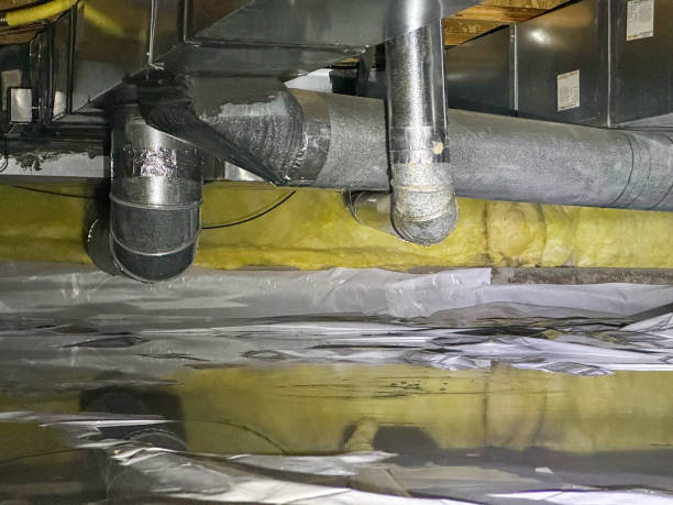 Best Ceiling water damage repair  in Inverness Highlands North, FL