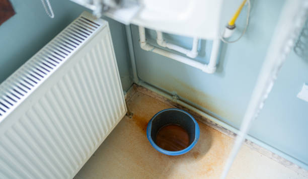 Carpet water damage restoration in FL