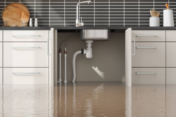 Best Carpet water damage restoration  in Inverness Highlands North, FL