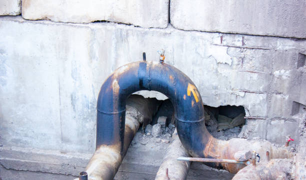 Best Professional water damage repair  in Inverness Highlands North, FL