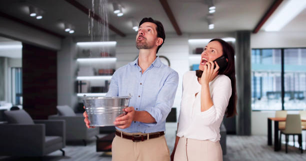 Trusted FL Water damage restoration Experts